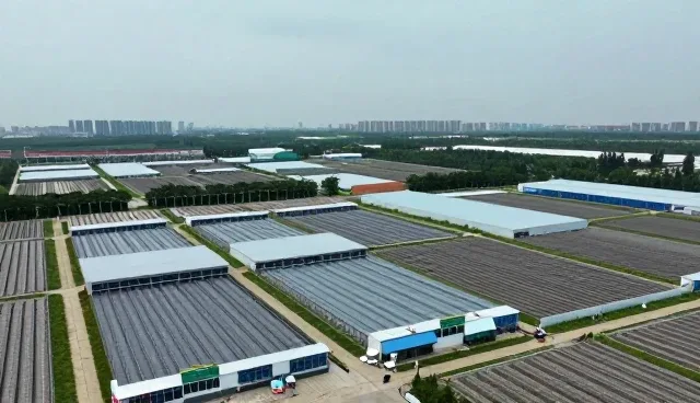 搬家搬运场景下的家庭保洁服务优化路径